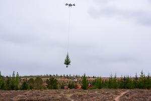 CHINA-GANSU-LANZHOU-DRON-PLANTAR ARBOLES