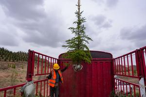 CHINA-GANSU-LANZHOU-DRON-PLANTAR ARBOLES