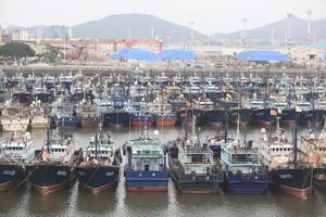 CHINA-TIFON NOUL-BOTES PESQUEROS-REFUGIO