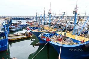 CHINA-TIFON NOUL-BOTES PESQUEROS-REFUGIO