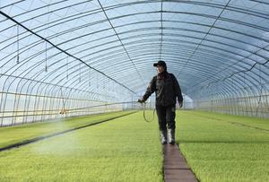 CHINA-HEILONGJIANG-PRIMAVERA-AGRICULTURA