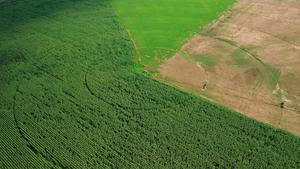 SUDAFRICA-JOHANNESBURGO-CAMPO CIRCULAR