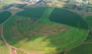 SUDAFRICA-JOHANNESBURGO-CAMPO CIRCULAR