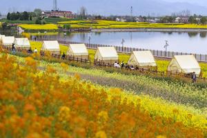 CHINA-SHAANXI-HANZHONG-ALDEAS-FLORES-TURISMO