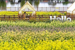 CHINA-SHAANXI-HANZHONG-ALDEAS-FLORES-TURISMO