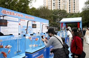 CHINA-FUZHOU-PEZ DORADO