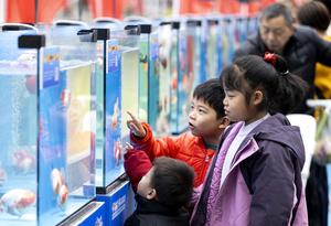 CHINA-FUZHOU-PEZ DORADO