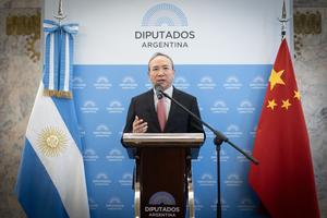 ARGENTINA-BUENOS AIRES-CHINA-AÑO NUEVO CHINO