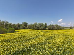 TURQUIA-ANKARA-AGRICULTORES-TENSIONES EN MEDIO ORIENTE