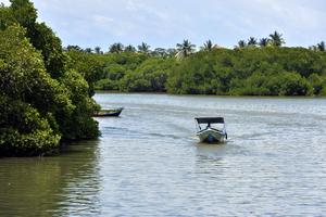 SRI LANKA-NEGOMBO-ECOSISTEMA DE MANGLARES