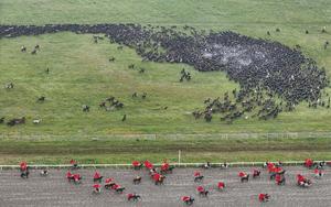 CHINA-XINJIANG-ZHAOSU-TURISMO-FESTIVAL