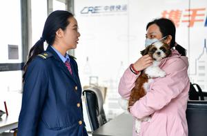 CHINA-GUIZHOU-FERROCARRIL DE ALTA VELOCIDAD-VIAJES DE MASCOTAS
