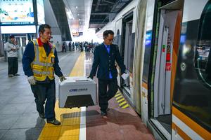 CHINA-GUIZHOU-FERROCARRIL DE ALTA VELOCIDAD-VIAJES DE MASCOTAS