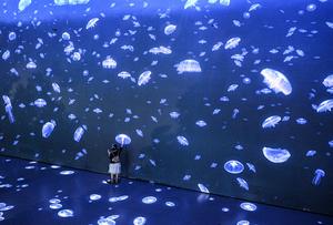 CHINA-HAINAN-HAIKOU-CIENCIA-MUSEO-INAUGURACION