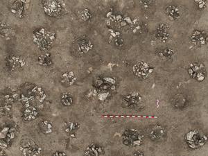 CHINA-LOS 10 DESCUBRIMIENTOS ARQUEOLOGICOS MAS IMPORTANTES DE 2025