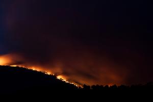 ESPAÑA-AVILA-INCENDIO FORESTAL
