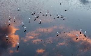 CHINA-HEILONGJIANG-FUJIN-PARQUE DE HUMEDALES-PAISAJES