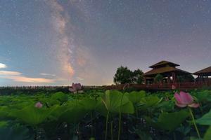 CHINA-HEILONGJIANG-FUJIN-PARQUE DE HUMEDALES-PAISAJES