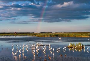 CHINA-HEILONGJIANG-FUJIN-PARQUE DE HUMEDALES-PAISAJES