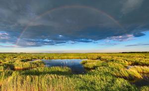 CHINA-HEILONGJIANG-FUJIN-PARQUE DE HUMEDALES-PAISAJES