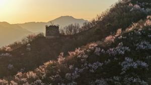 CHINA-HEBEI-QIANXI-GRAN MURALLA-PAISAJE
