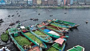 BANGLADESH-DHAKA-SANDIAS