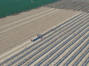 CHINA-PRIMAVERA-ARADO