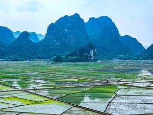 CHINA-PRIMAVERA-ARADO