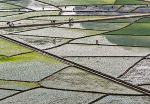 CHINA-PRIMAVERA-ARADO