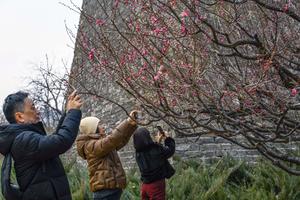 CHINA-PAISAJE DE PRIMAVERA