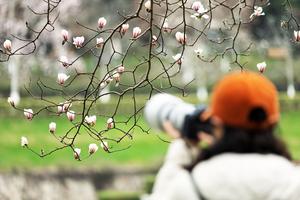 CHINA-PAISAJE DE PRIMAVERA