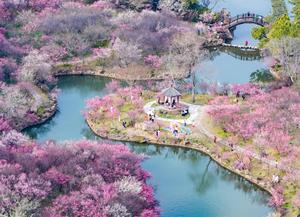 CHINA-PAISAJE DE PRIMAVERA