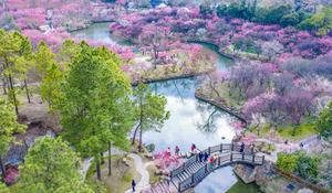 CHINA-PAISAJE DE PRIMAVERA
