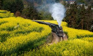 CHINA-PAISAJE DE PRIMAVERA