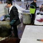 ISRAEL-MODIIN-PASCUA-LEVADURA-ELIMINAR