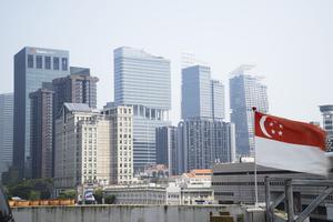 SINGAPUR-BRUMA