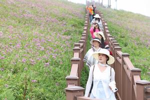 CHINA-GUIZHOU-BIJIE-CAMPO DE FLORES-TURISMO