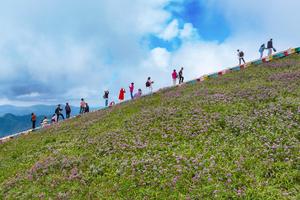 CHINA-GUIZHOU-BIJIE-CAMPO DE FLORES-TURISMO