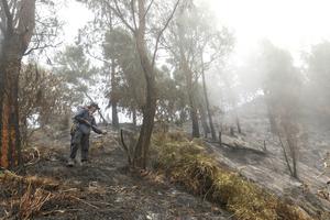INDONESIA-BANYUWANGI-VOLCAN IJEN-INCENDIO FORESTAL