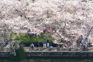 CHINA-FESTIVAL QINGMING-FERIADO-PAISAJE PRIMAVERAL