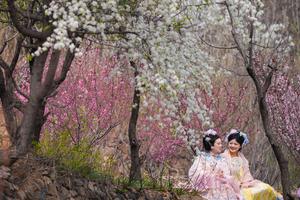 CHINA-FESTIVAL QINGMING-FERIADO-PAISAJE PRIMAVERAL