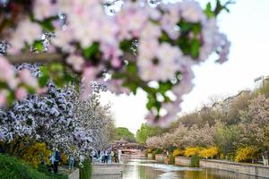 CHINA-FESTIVAL QINGMING-FERIADO-TURISMO