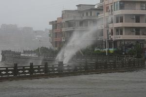 CHINA-ZHEJIANG-TAIZHOU-TIFON DOLPHIN-LLEGADA A TIERRA