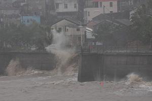 CHINA-ZHEJIANG-TIFON DOLPHIN-PREVENCION