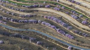 CHINA-NINGXIA-GUYUAN-PAISAJE PRIMAVERAL