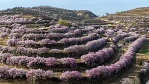 CHINA-NINGXIA-GUYUAN-PAISAJE PRIMAVERAL