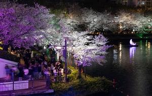 REPUBLICA DE COREA-SEUL-FLORES DE CEREZO