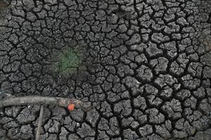 SRI LANKA-POLONNARUWA-EL NIÑO-SEQUIA