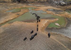 SRI LANKA-POLONNARUWA-EL NIÑO-SEQUIA
