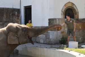 HUNGRIA-BUDAPEST-ZOOLOGICO-160 ANIVERSARIO